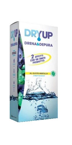 DRYUP MIRTILLO 300 ML