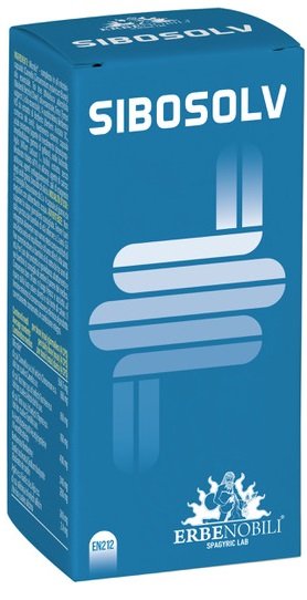 SIBOSOLV 60 CAPSULE ACIDORESISTENTI