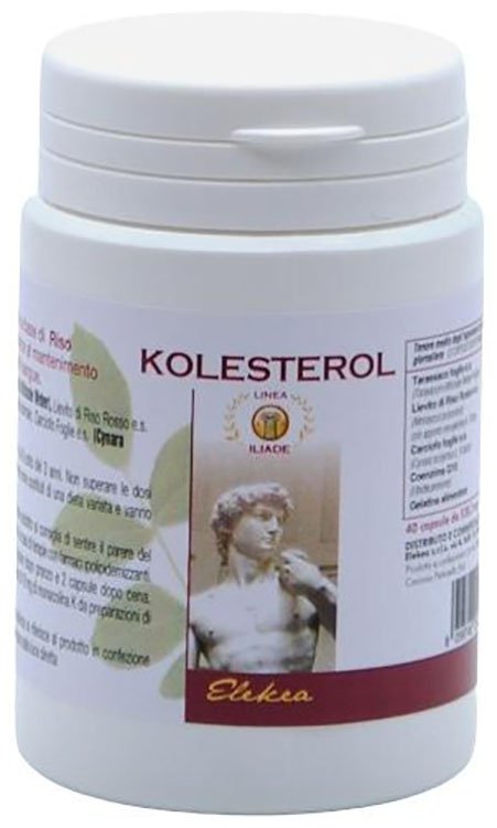 KOLESTEROL 40 CAPSULE
