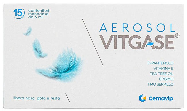 VITGASE AEROSOL 15 FLACONCINI 5 ML