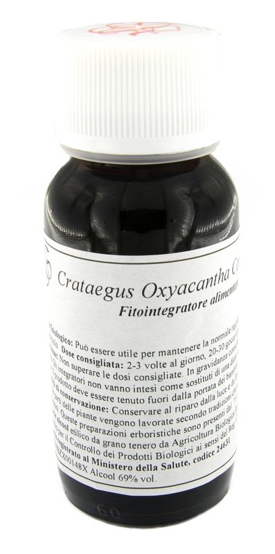 LVS 17S CRATAEGUS OXYACANTHA COMPOSITUM