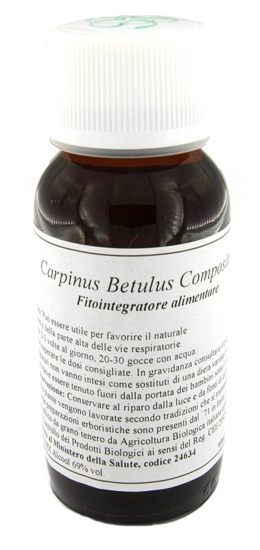 LVS 20N CARPINUS BETULUS COMPOSITUM