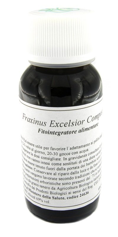 LVS 22N FRAXINUS EXCELSIOR COMPOSITUM