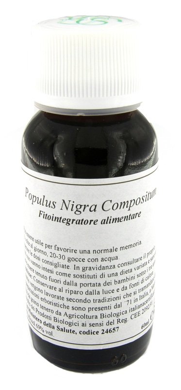LVS 43N POPULUS NIGRA COMPOSITUM