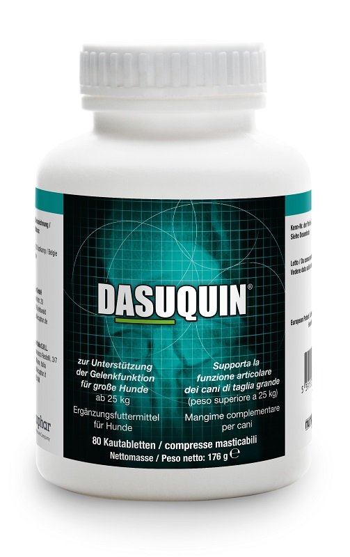 DASUQUIN LARGE CANI PESO MAGGIORE DI 25 KG