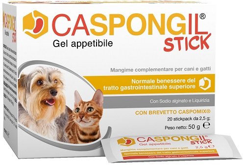 CASPONGIL STICK GEL APPETIBILE 20 STICKPACK DA 2,5 G