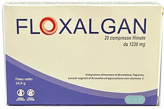 FLOXALGAN 20 COMPRESSE RIVESTITE DA 1,02 G