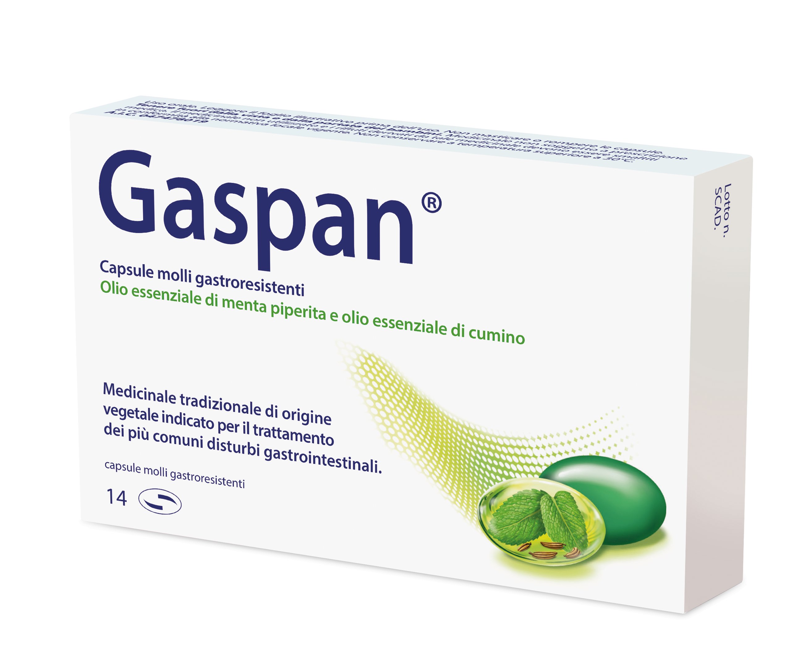 GASPAN CAPSULE MOLLI GASTRORESISTENTI CAPSULA MOLLE GASTRORESISTENTE 14 CAPSULE IN BLISTER PVC/PVDC-AL