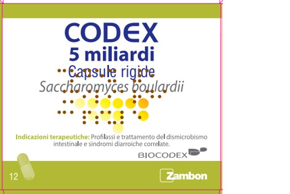 CODEX 5 MILIARDI CAPSULE RIGIDE 5 MILIARDI CAPSULE RIGIDE, 12 CAPSULE IN BLISTER PVC/AL