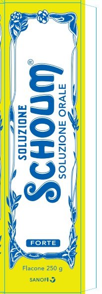 SOLUZIONE SCHOUM SOLUZIONE ORALE FORTE SOLUZIONE ORALE FLACONE 250 G
