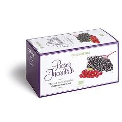 REGINADIFIORI BOSCO INCANTATO INFUSO DI FRUTTI DI BOSCO CON FRAGOLA LAMPONE E FOGLIE DI MORA 15 FILTRI