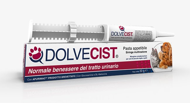 DOLVECIST PASTA SIRINGA 30 G