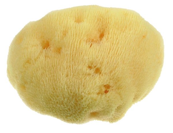 MOOD SPUGNA MAR MEDITERRANEO FINE DAMA 10CM